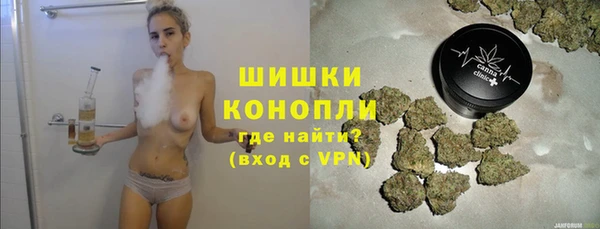 прущие грибы Краснослободск