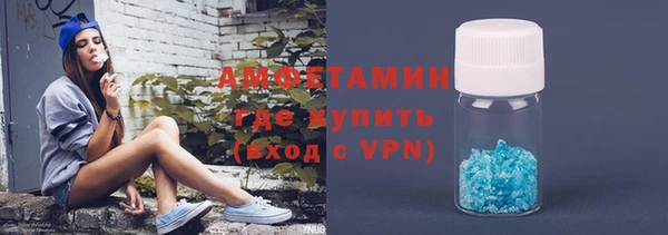 прущие грибы Краснослободск