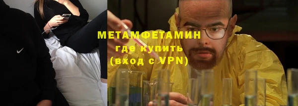прущие грибы Краснослободск