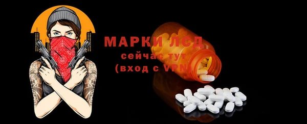 прущие грибы Краснослободск