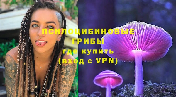 прущие грибы Краснослободск