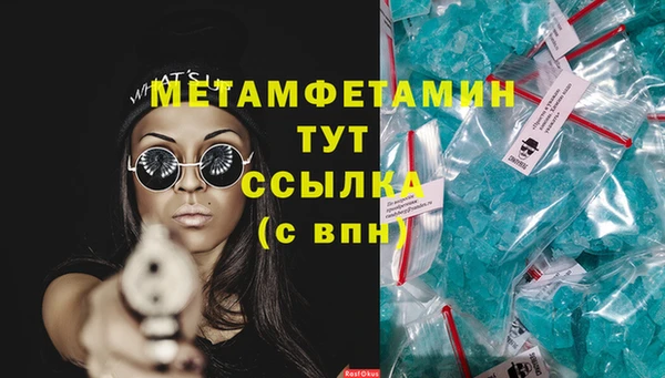 прущие грибы Краснослободск