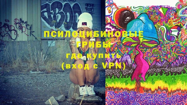 прущие грибы Краснослободск