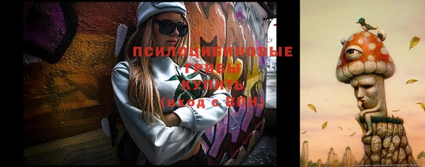 прущие грибы Краснослободск