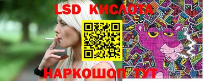 apvp Бийск