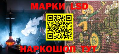 apvp Бийск
