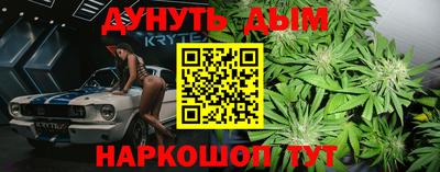 apvp Бийск
