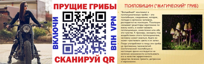 Псилоцибиновые грибы Psilocybine cubensis  даркнет сайт  Москва 