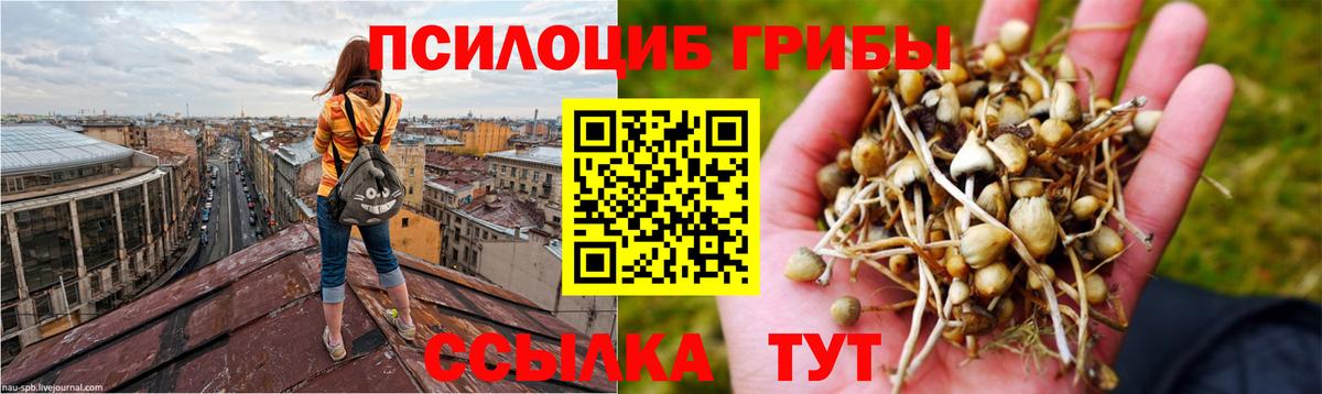 Псилоцибиновые грибы мицелий  Вход с VPN  Москва 
